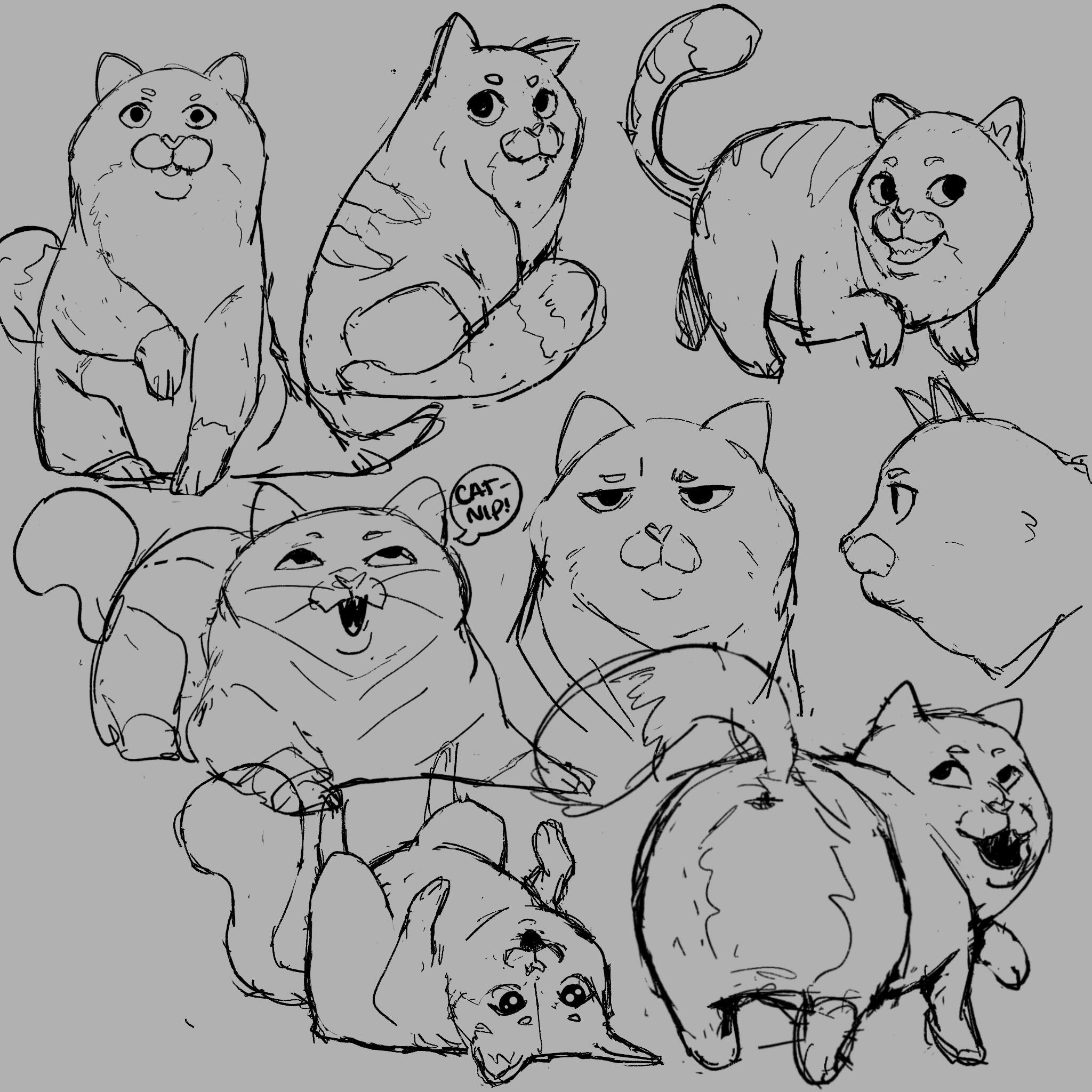FatOrangeCat_Sketches